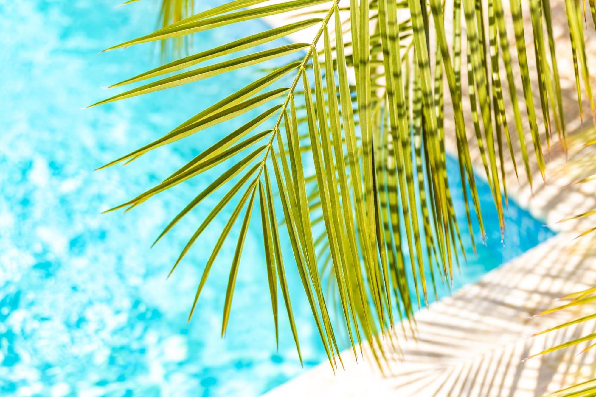 Fontein Paradise Apartments - Curacao מראה חיצוני תמונה